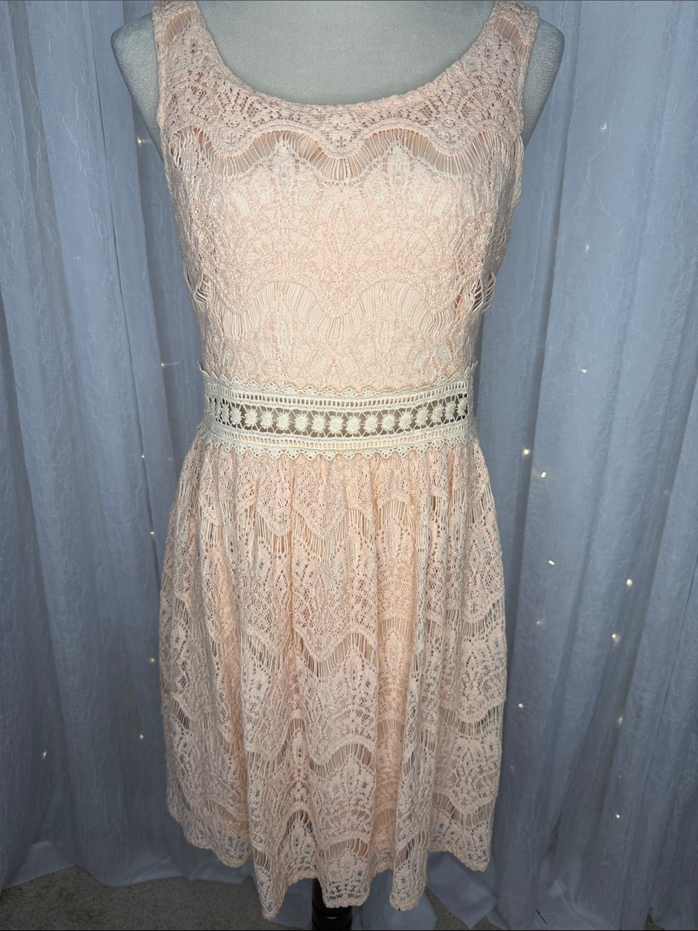 She + Sky Blush Lace Sleeveless Midi Dress